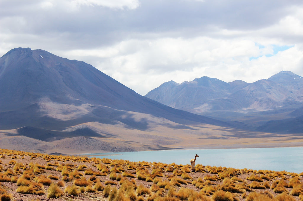 Top Ten Reasons Chile Should Be On Your Bucket List